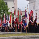 Uroczystości 3 Maja w Płocku
